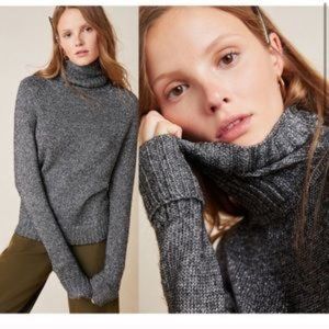 Coretta Shine turtleneck By anthropologie